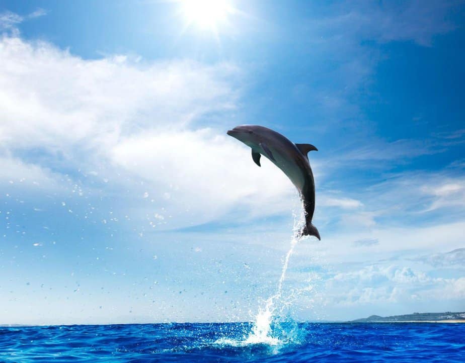 Hai Smart4industries Real Time Datasystem For Manufacturing Quality