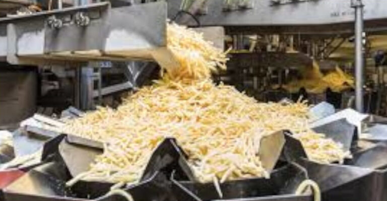 lambweston_friteslijn_HAI_zonder_uitlijning